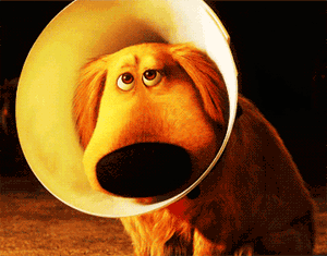 Doug from Up GIF