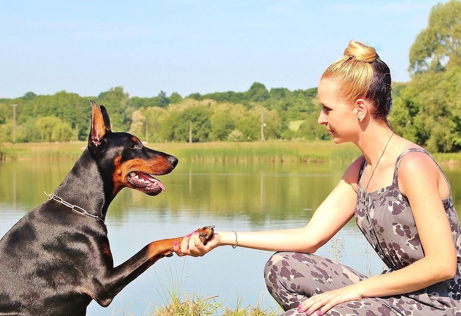 woman holding dog's paw