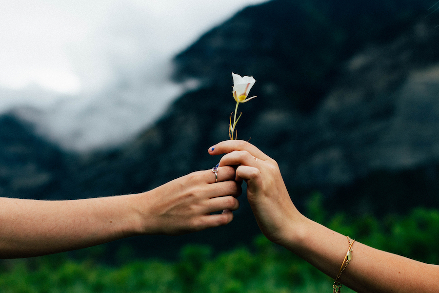 person giving flower to another person