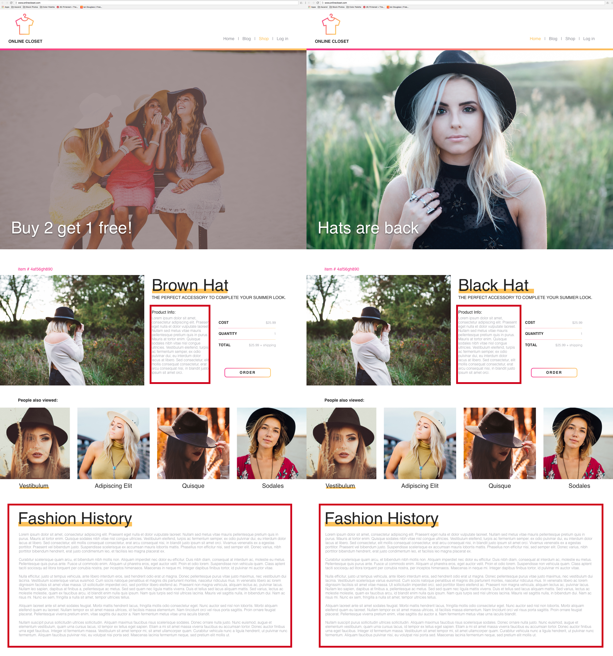 an example of a website that contains two duplicate pages with the same text but different images