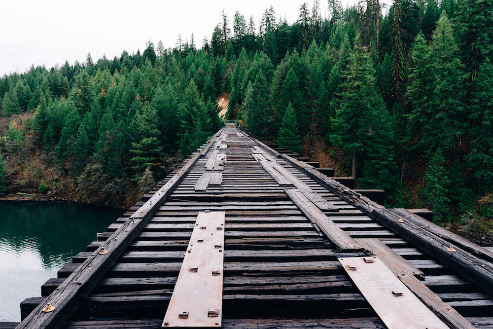 wooden bridge leading to evergreen forest