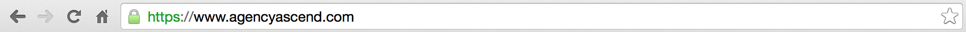 Chrome Browser SSL HTTPS