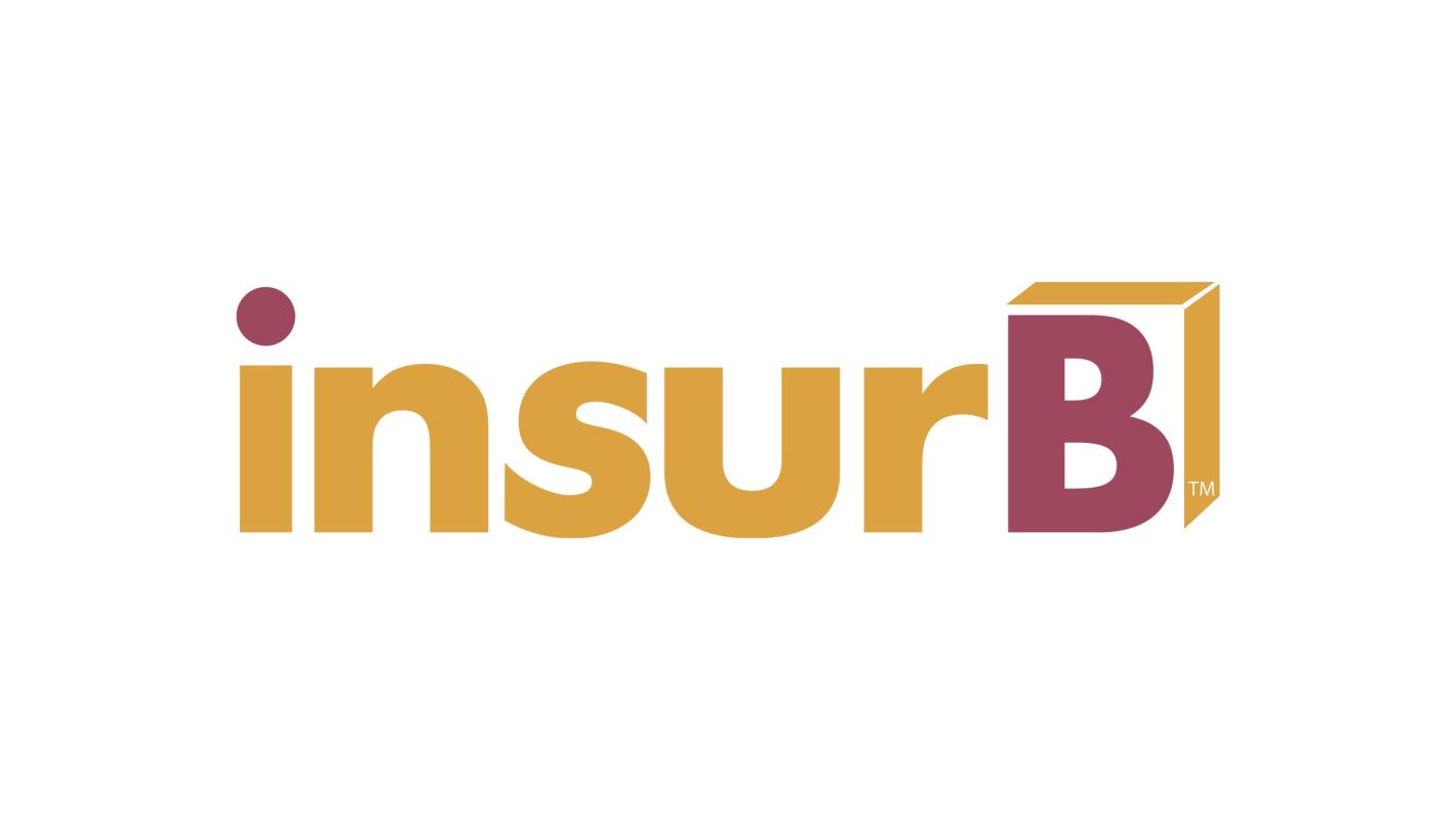 Custom logo design for insurb insurance company